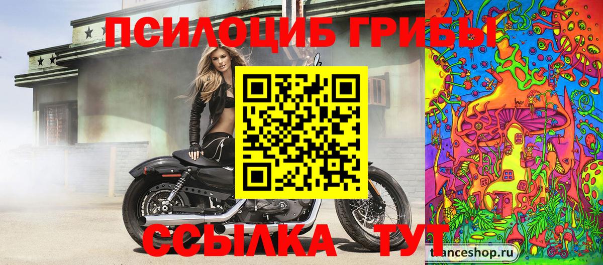 Псилоцибиновые грибы Psilocybe Миасс