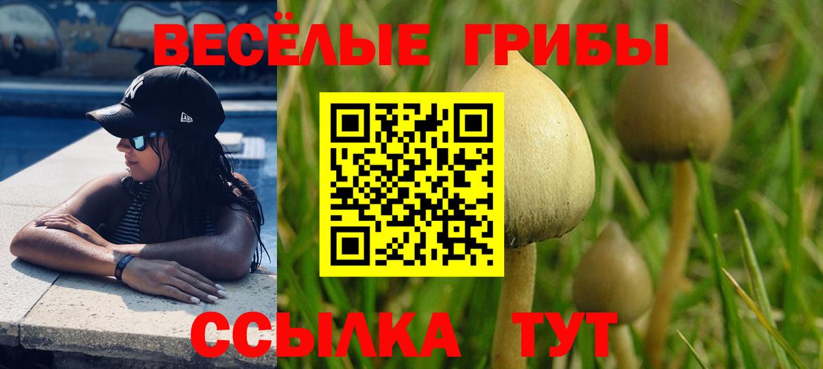 Галлюциногенные грибы Psilocybe  Вход с VPN  Миасс 